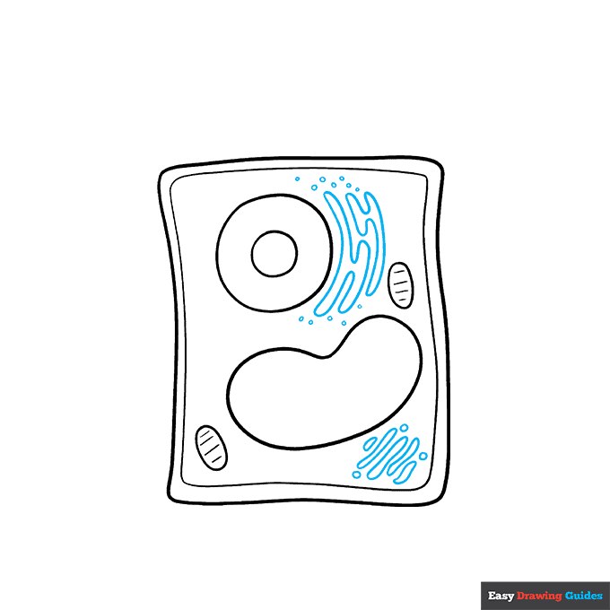Plant Cell step-by-step drawing tutorial: step 5