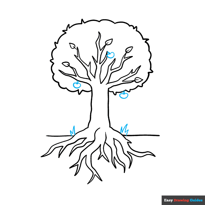 Parts of a Tree step-by-step drawing tutorial: step 6