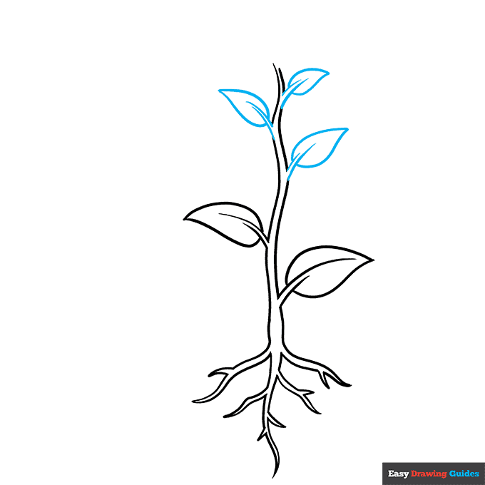 Parts of a Plant step-by-step drawing tutorial: step 6