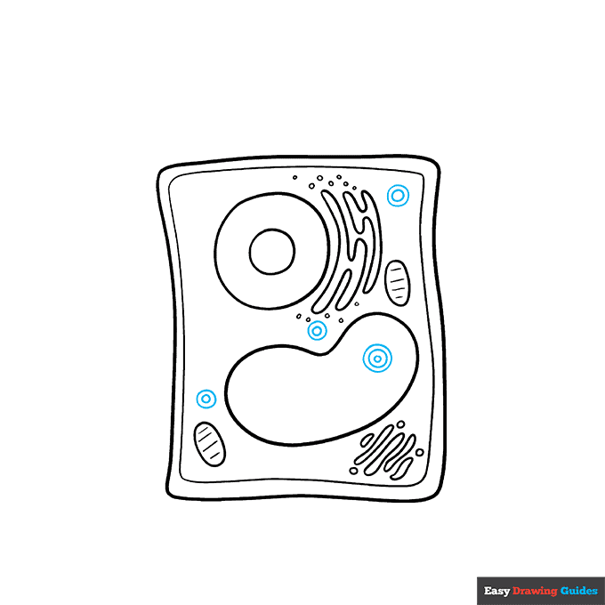 Plant Cell step-by-step drawing tutorial: step 6