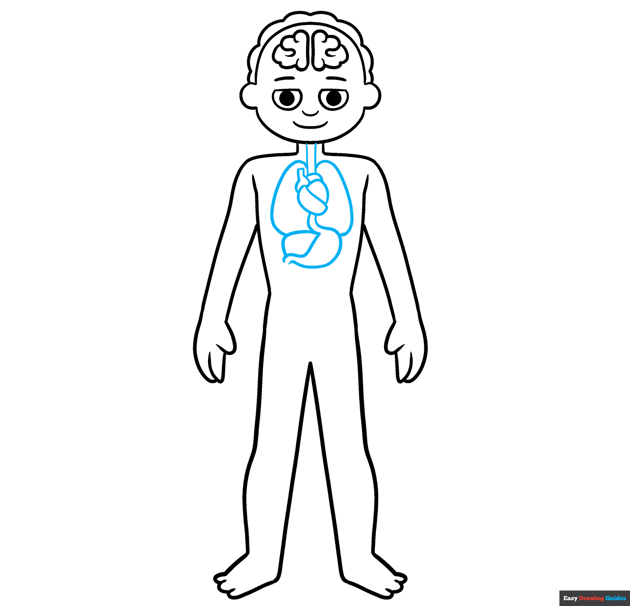 Human Anatomy for Kids step-by-step drawing tutorial: step 7