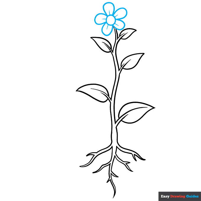 Parts of a Plant step-by-step drawing tutorial: step 7