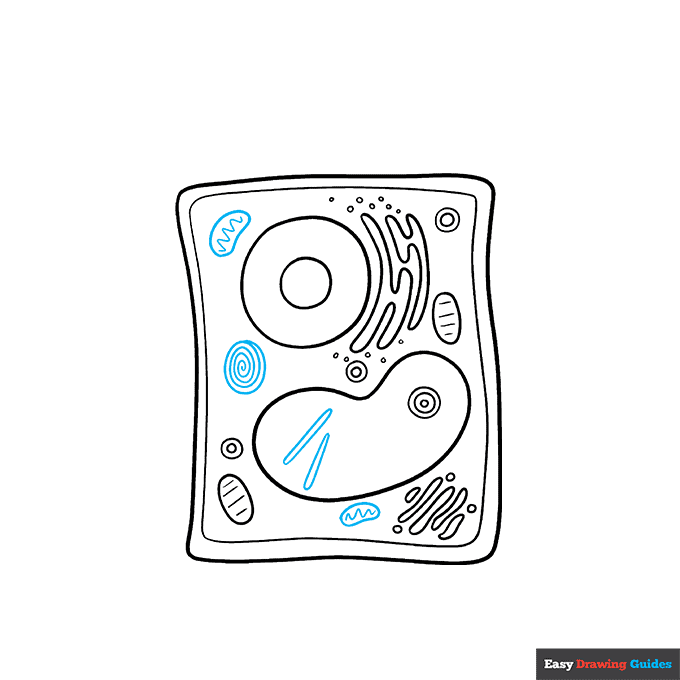 Plant Cell step-by-step drawing tutorial: step 7