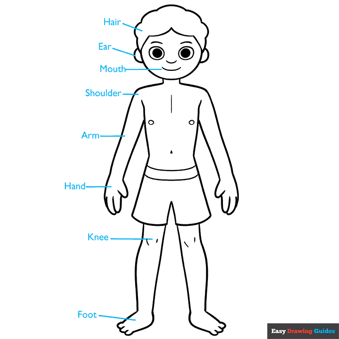 Body Parts Diagram for Kids step-by-step drawing tutorial: step 8