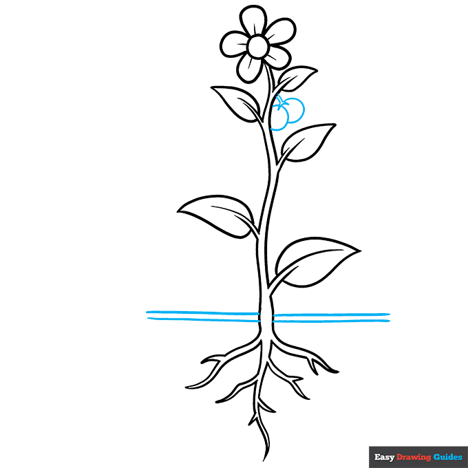 Parts of a Plant step-by-step drawing tutorial: step 8