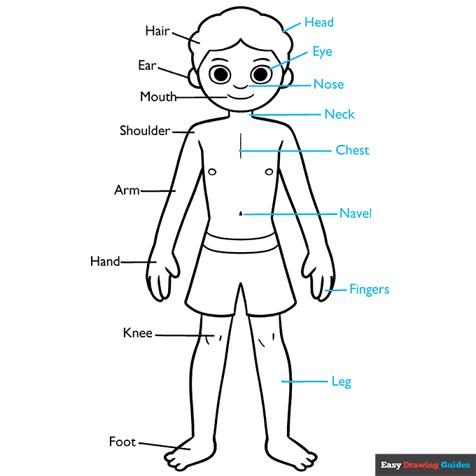 Body Parts Diagram for Kids step-by-step drawing tutorial: step 9