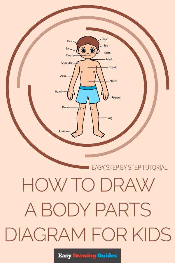 How to Draw a Body Parts Diagram for Kids Pinterest Image