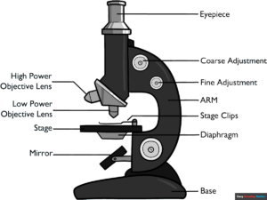 How to Draw a Microscope Diagram for Kids Featured Image
