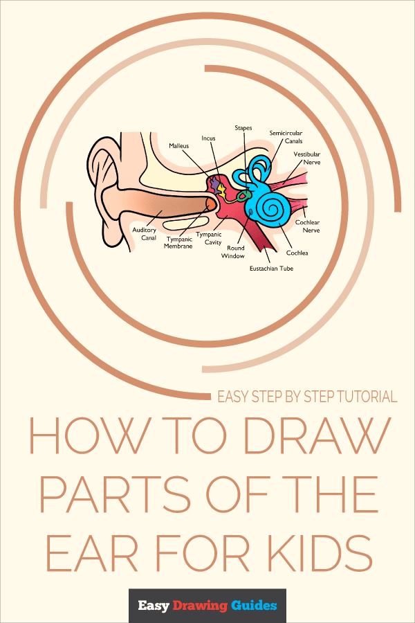 How to Draw Part of the Ear for Kids Pinterest Image
