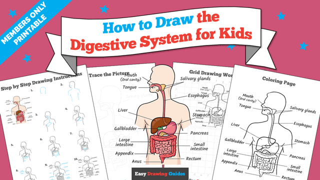 How to Draw the Digestive System for Kids Printable Thumbnail