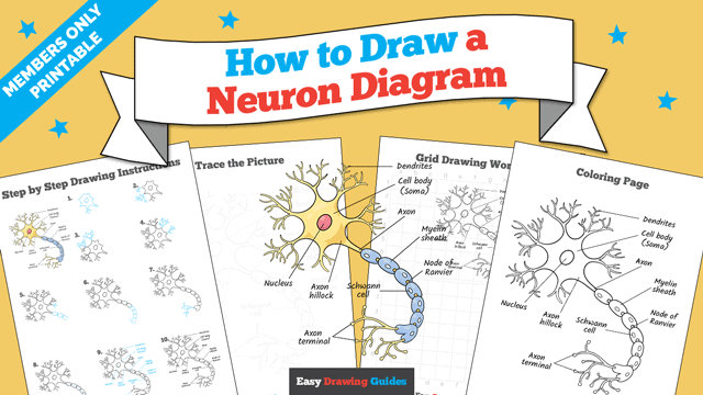 How to Draw a Neuron Diagram Printable Thumbnail