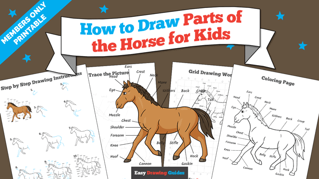 How to Draw Parts of the Horse For Kids Printable Thumbnail