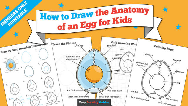 How to Draw the Anatomy of an Egg for Kids Printable Thumbnail