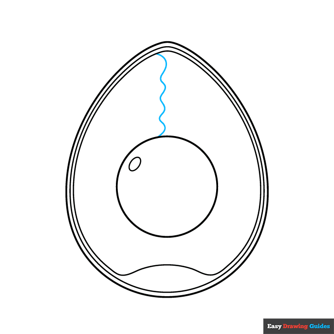 Anatomy of an Egg for Kids step-by-step drawing tutorial: step 5