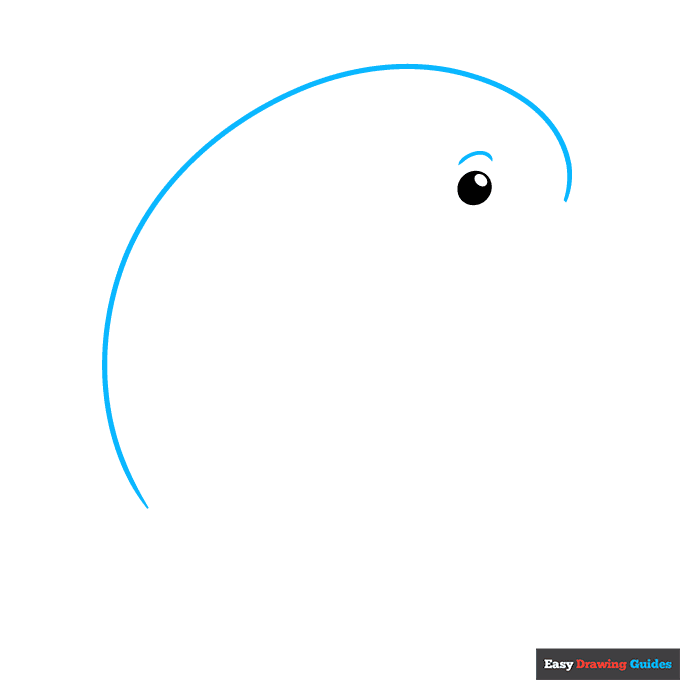 Easy Dolphin for Kids step-by-step drawing tutorial: step 2