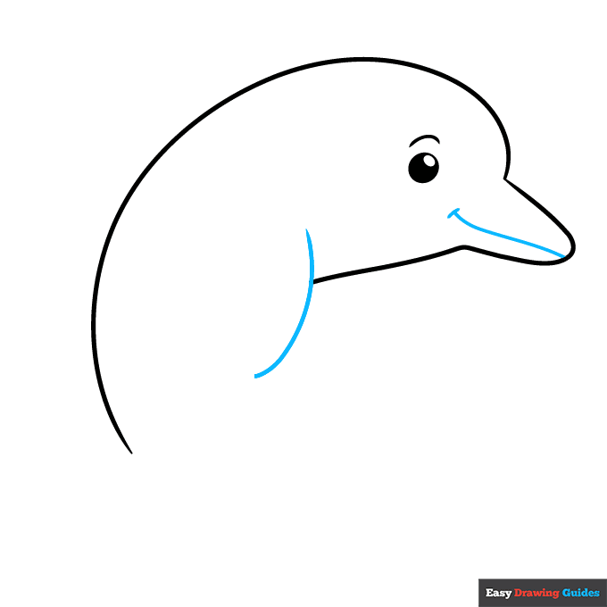 Easy Dolphin for Kids step-by-step drawing tutorial: step 4