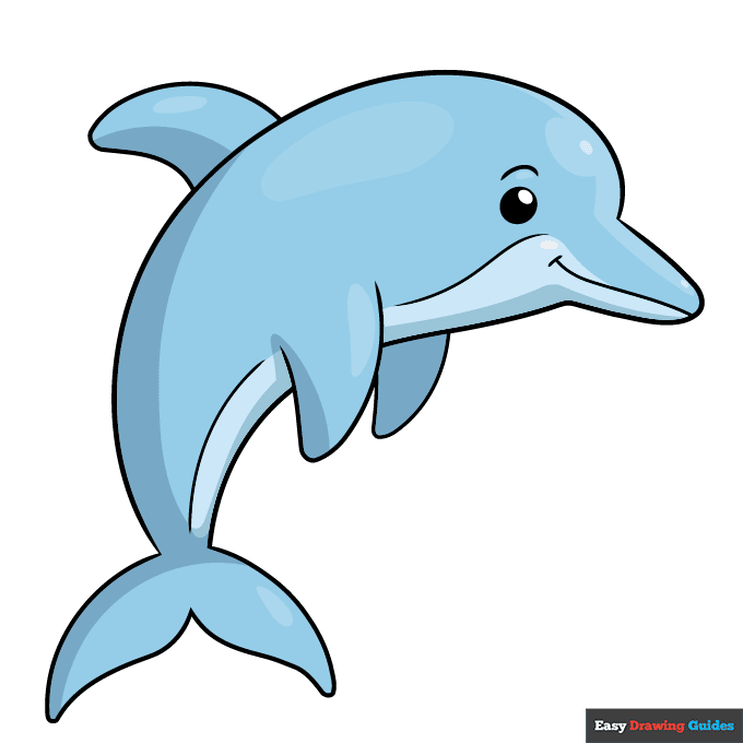 Easy Dolphin for Kids step-by-step drawing tutorial: step 11