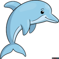 How to Draw an Easy Dolphin for Kids