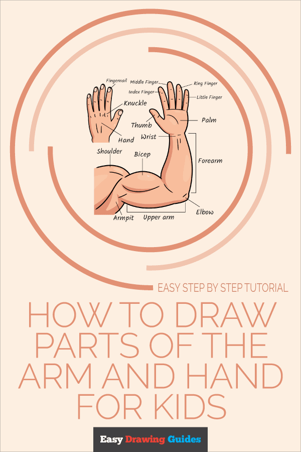 How to Draw Parts of the Arm and Hand for Kids Pinterest Image
