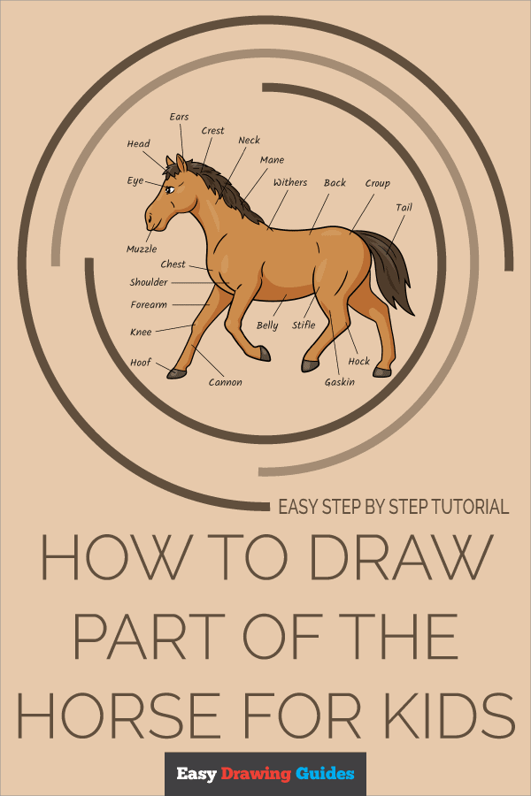 How to Draw Parts of the Horse For Kids Pinterest Image