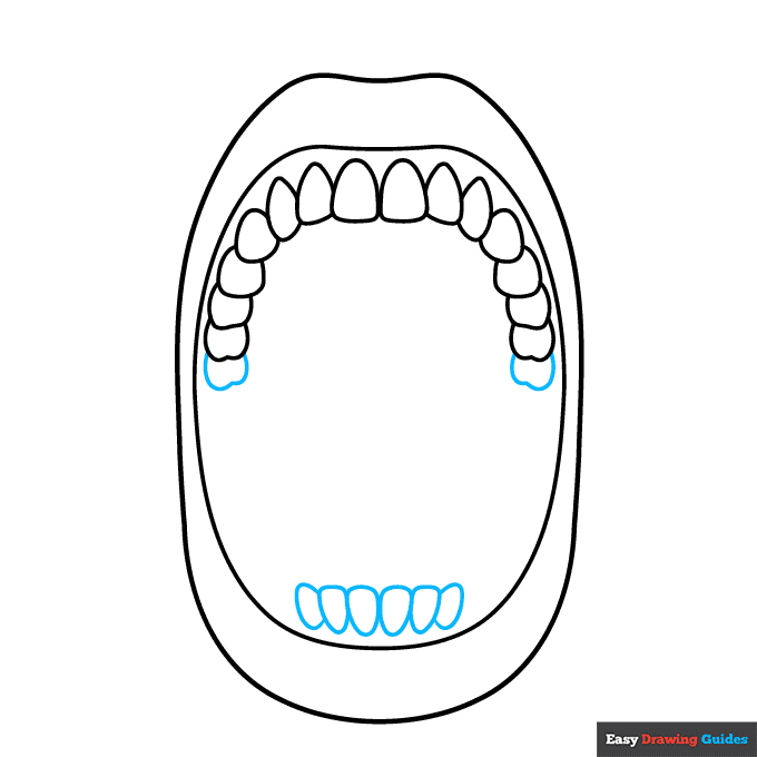 Mouth Anatomy Diagram for Kids for Kids step-by-step drawing tutorial: step 4