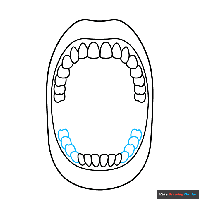 Mouth Anatomy Diagram for Kids for Kids step-by-step drawing tutorial: step 5
