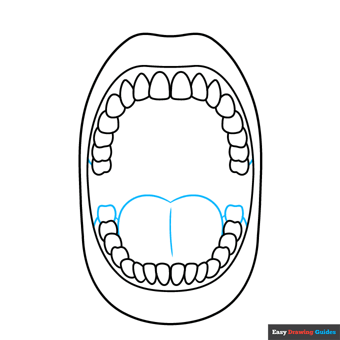 Mouth Anatomy Diagram for Kids for Kids step-by-step drawing tutorial: step 6