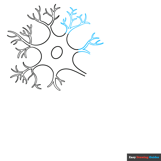 Neuron Diagram step-by-step drawing tutorial: step 4
