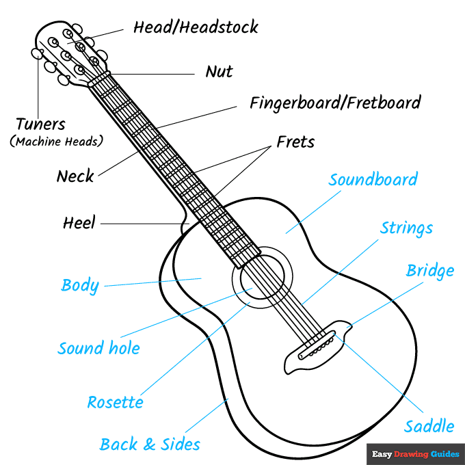 Parts of a Guitar step-by-step drawing tutorial: step 9