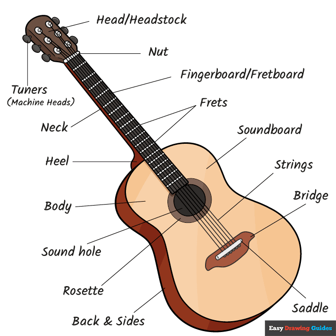 Parts of a Guitar step-by-step drawing tutorial: step 11