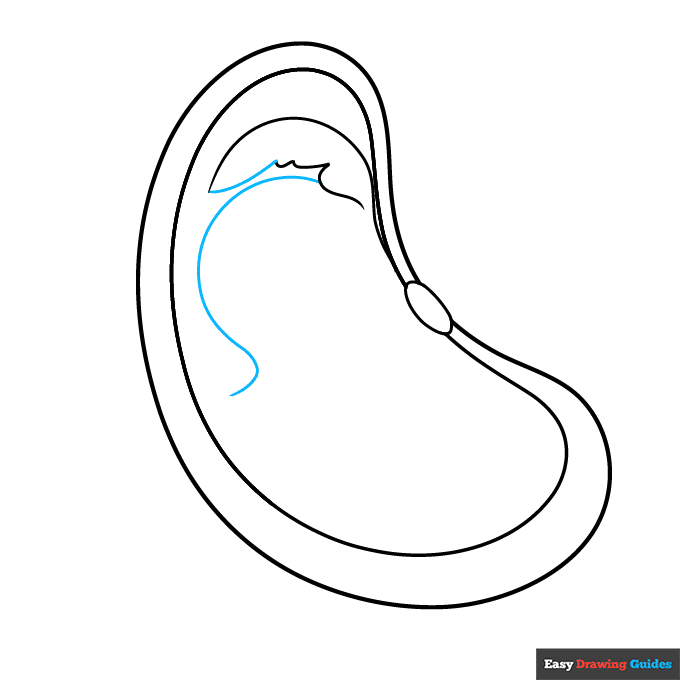 Parts of a Seed for Kids step-by-step drawing tutorial: step 5
