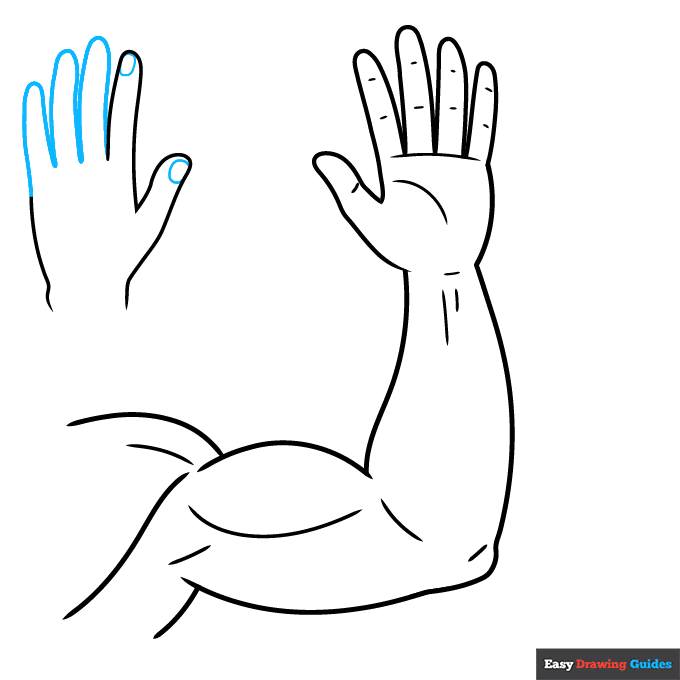 Parts of the Arm and Hand for Kids step-by-step drawing tutorial: step 6