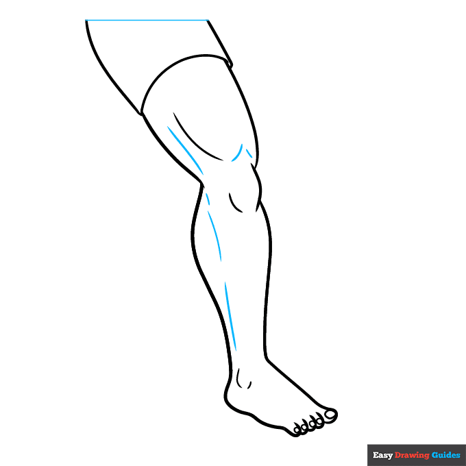 Parts of the Leg and Foot for Kids step-by-step drawing tutorial: step 7