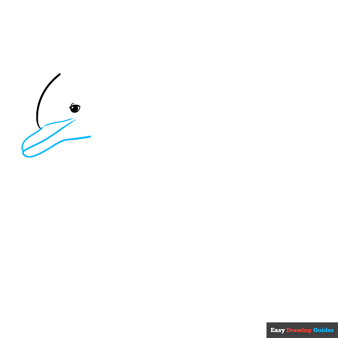 Dolphin Jumping Out of Water step-by-step drawing tutorial: step 2