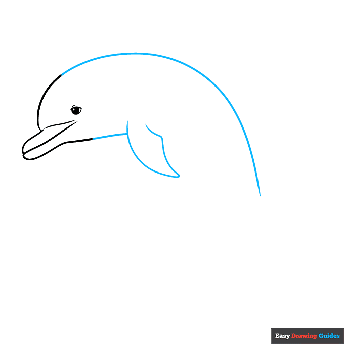 Dolphin Jumping Out of Water step-by-step drawing tutorial: step 3