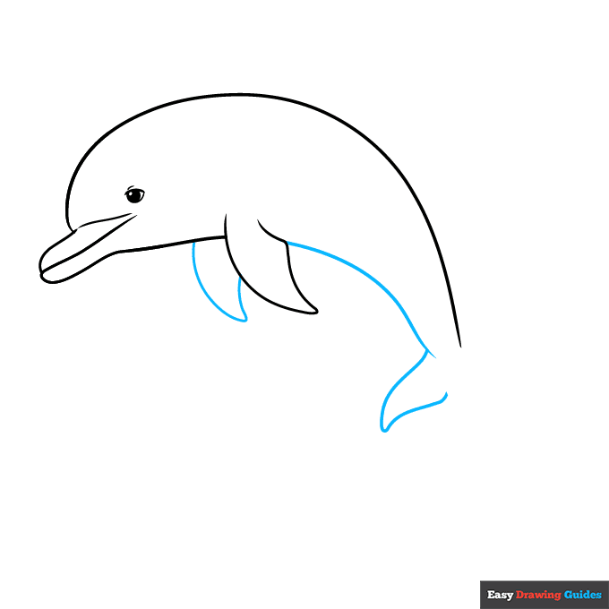 Dolphin Jumping Out of Water step-by-step drawing tutorial: step 4