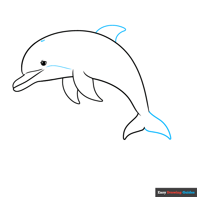 Dolphin Jumping Out of Water step-by-step drawing tutorial: step 5