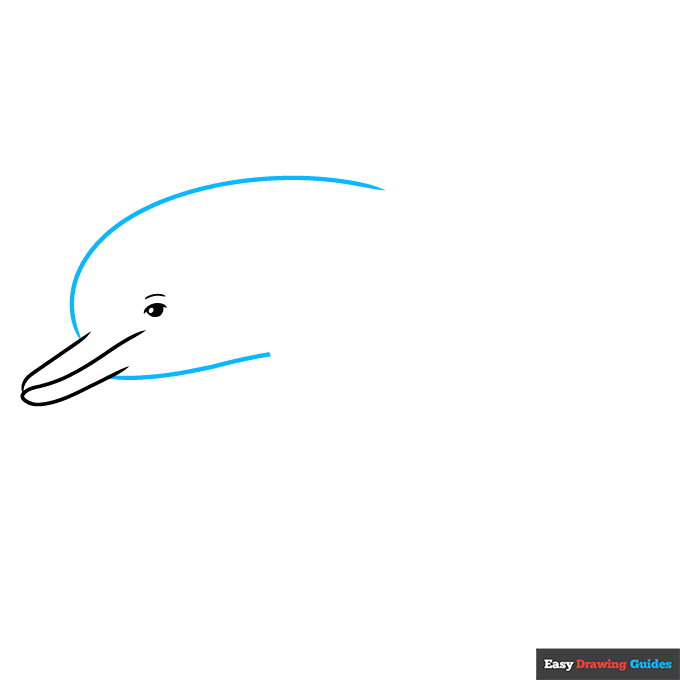 Dolphin Outline Drawing step-by-step drawing tutorial: step 3