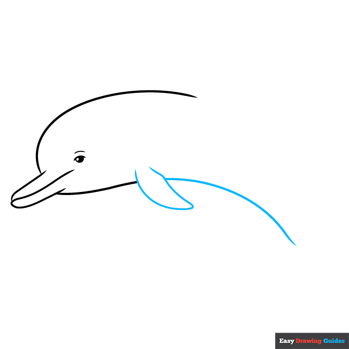 Dolphin Outline Drawing step-by-step drawing tutorial: step 4