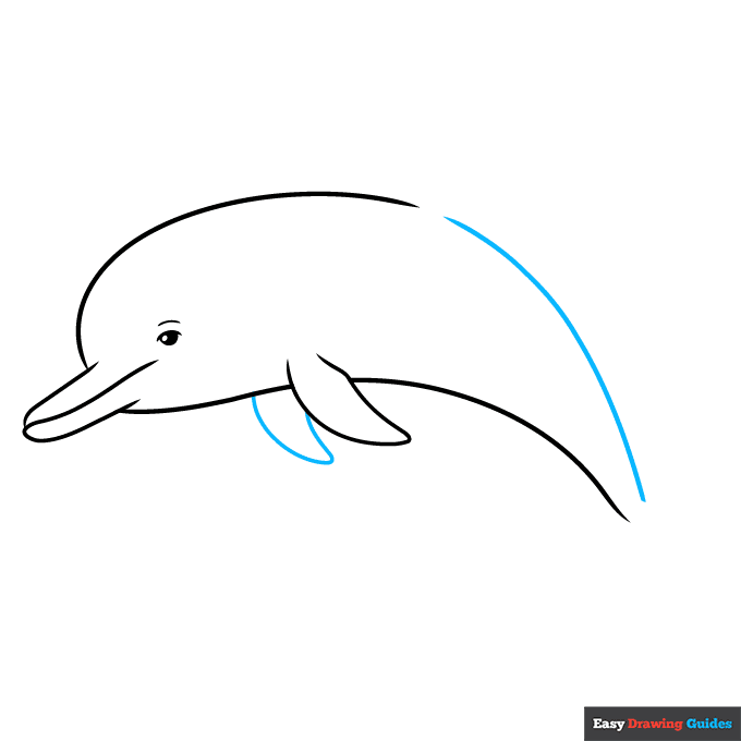 Dolphin Outline Drawing step-by-step drawing tutorial: step 5