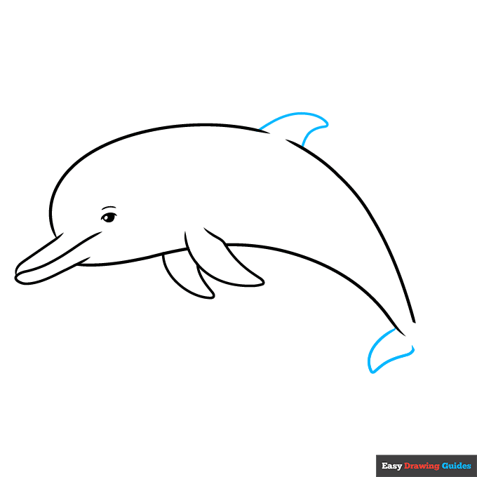 Dolphin Outline Drawing step-by-step drawing tutorial: step 6