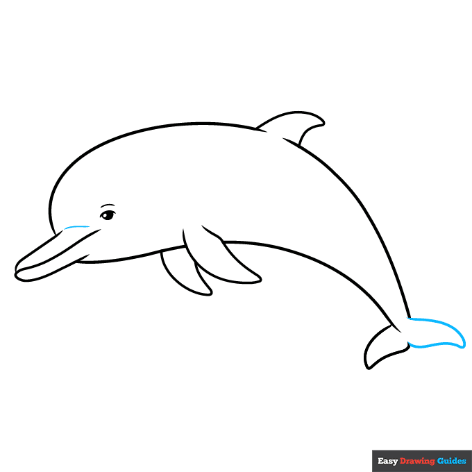 Dolphin Outline Drawing step-by-step drawing tutorial: step 7
