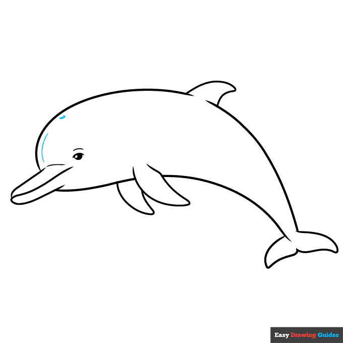 Dolphin Outline Drawing step-by-step drawing tutorial: step 8
