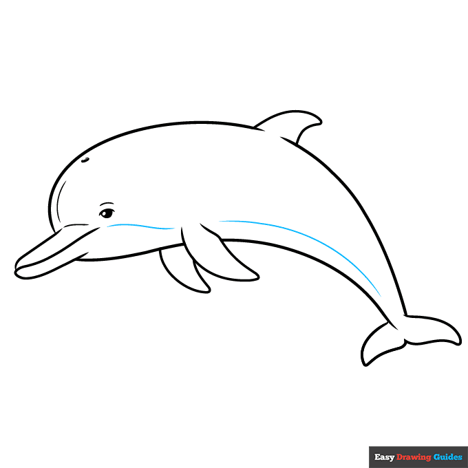 Dolphin Outline Drawing step-by-step drawing tutorial: step 9
