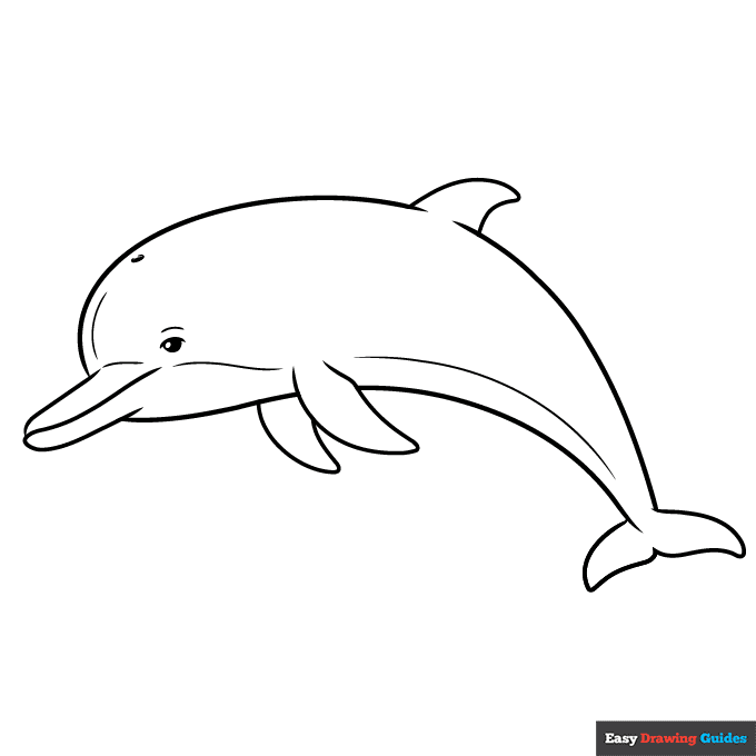 Dolphin Outline Drawing step-by-step drawing tutorial: step 11