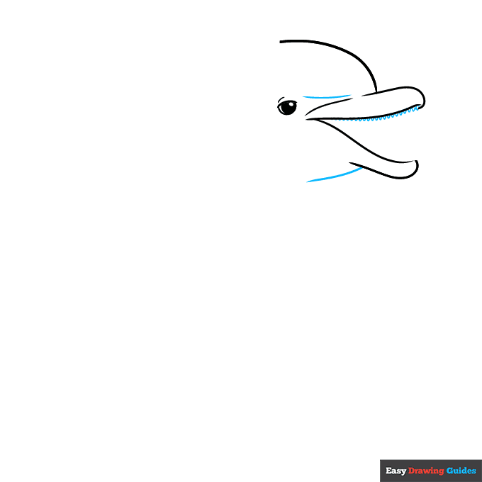 Easy Realistic Dolphin step-by-step drawing tutorial: step 3
