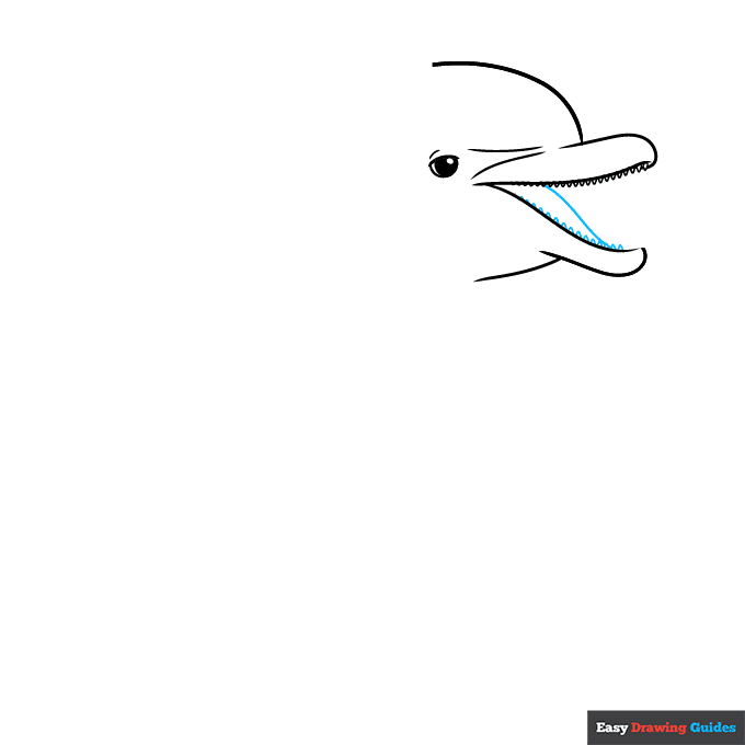 Easy Realistic Dolphin step-by-step drawing tutorial: step 4