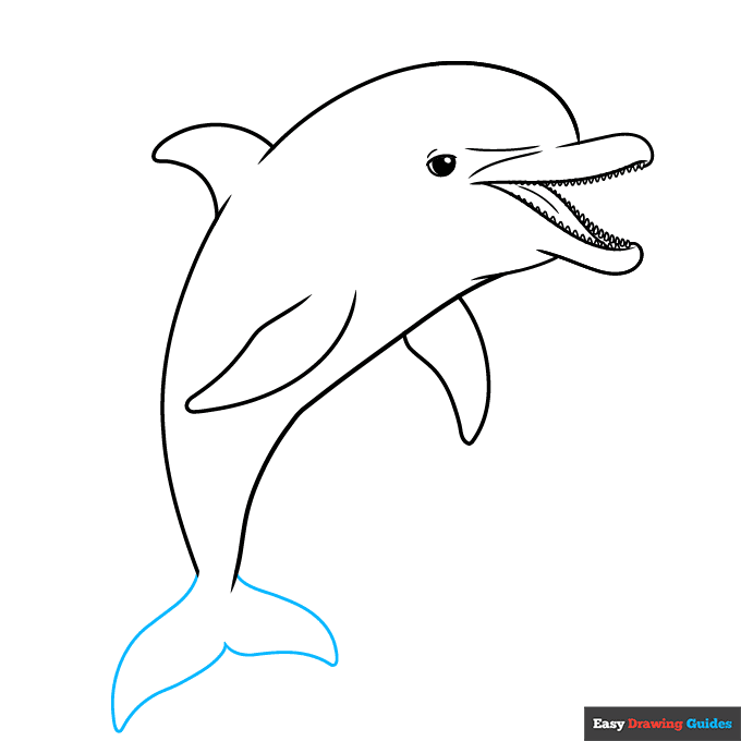 Easy Realistic Dolphin step-by-step drawing tutorial: step 8
