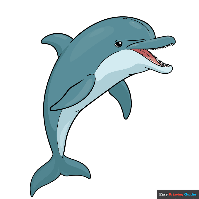 Easy Realistic Dolphin step-by-step drawing tutorial: step 11