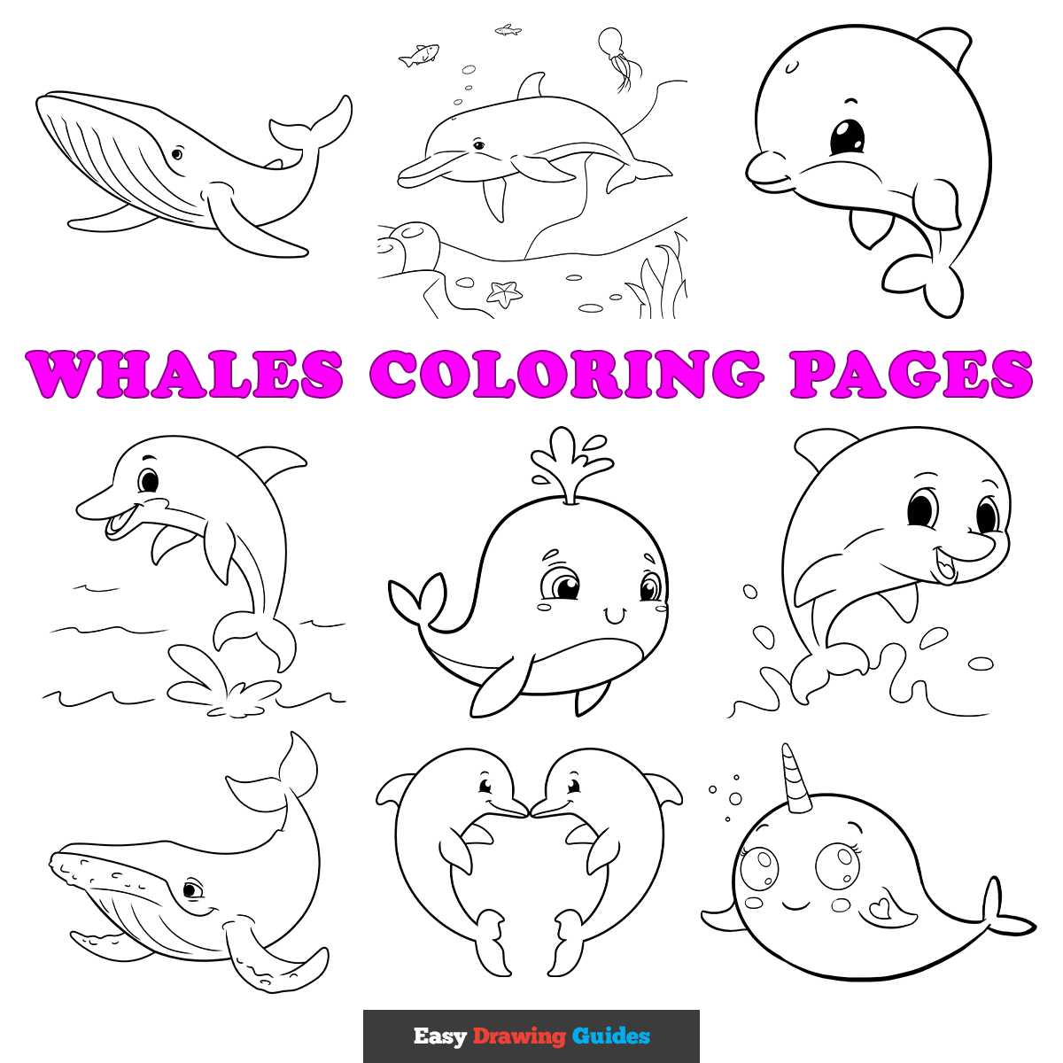 Whales Coloring Pages - Featured Image